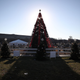 Illustration for article titled White House Declares War on Christmas With Sad, Dark Tree